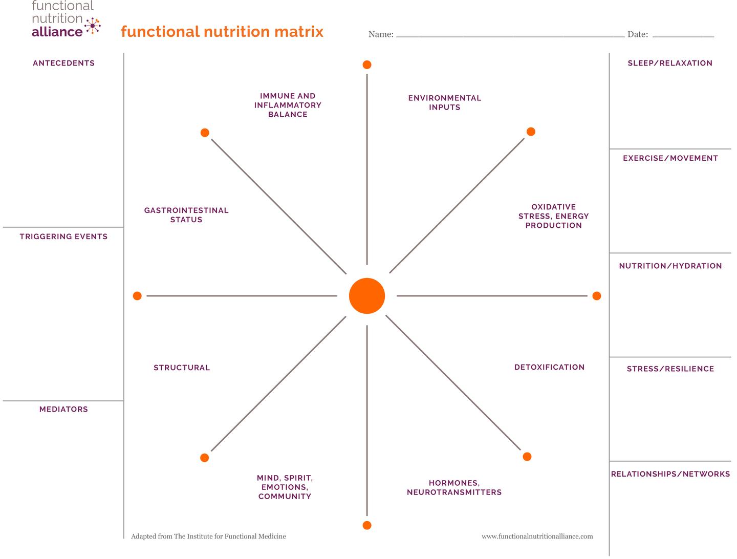 The functional nutrition matrix by Andrea Nakayama