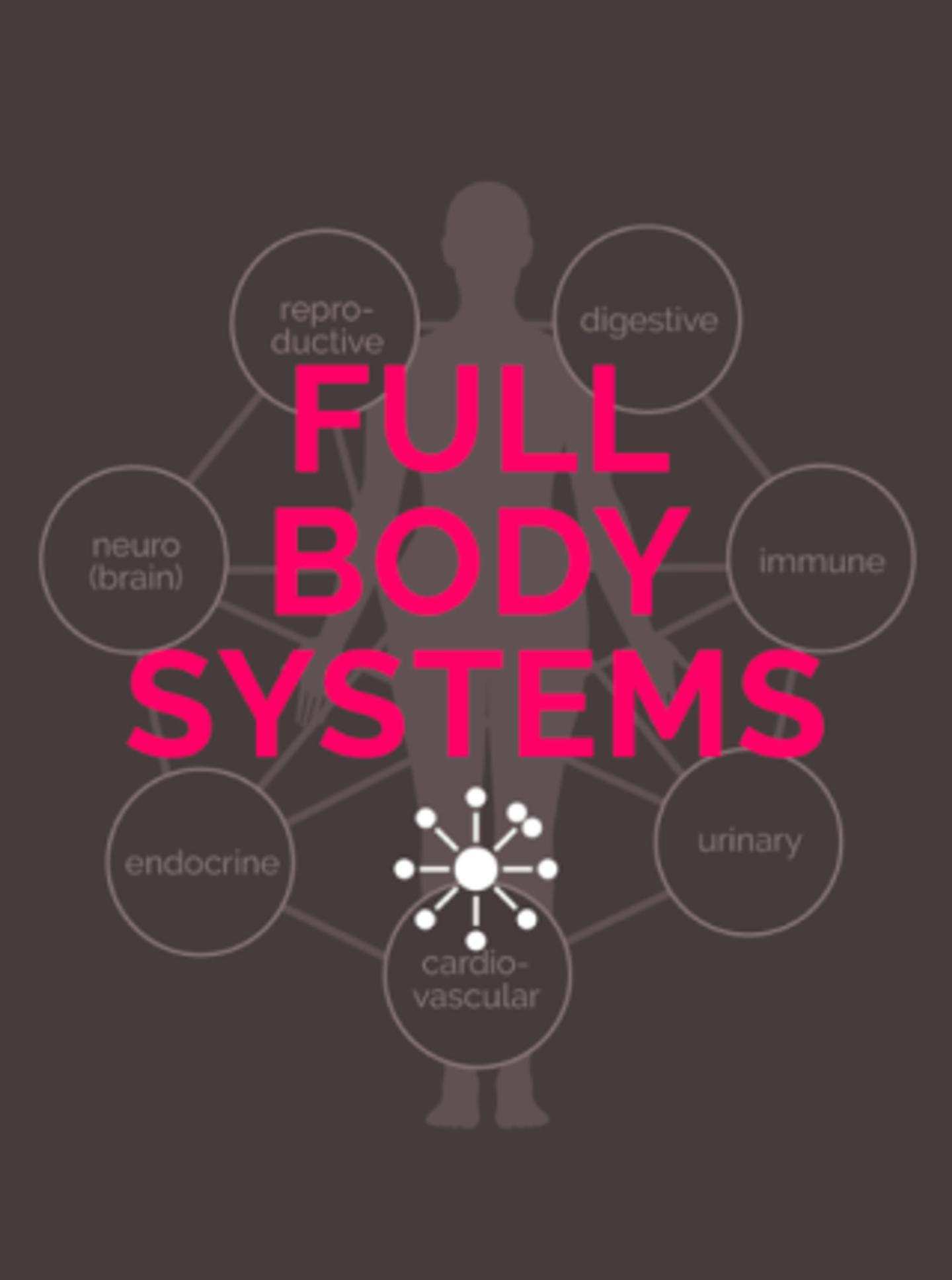 full-body-systems-320x430-1
