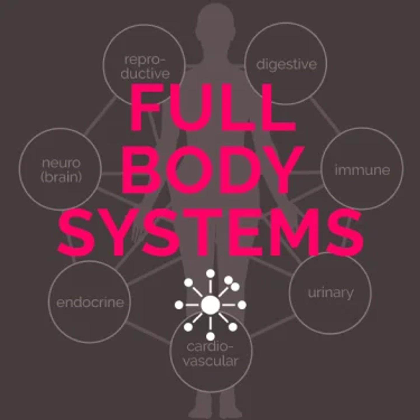 Full Body Systems icon image