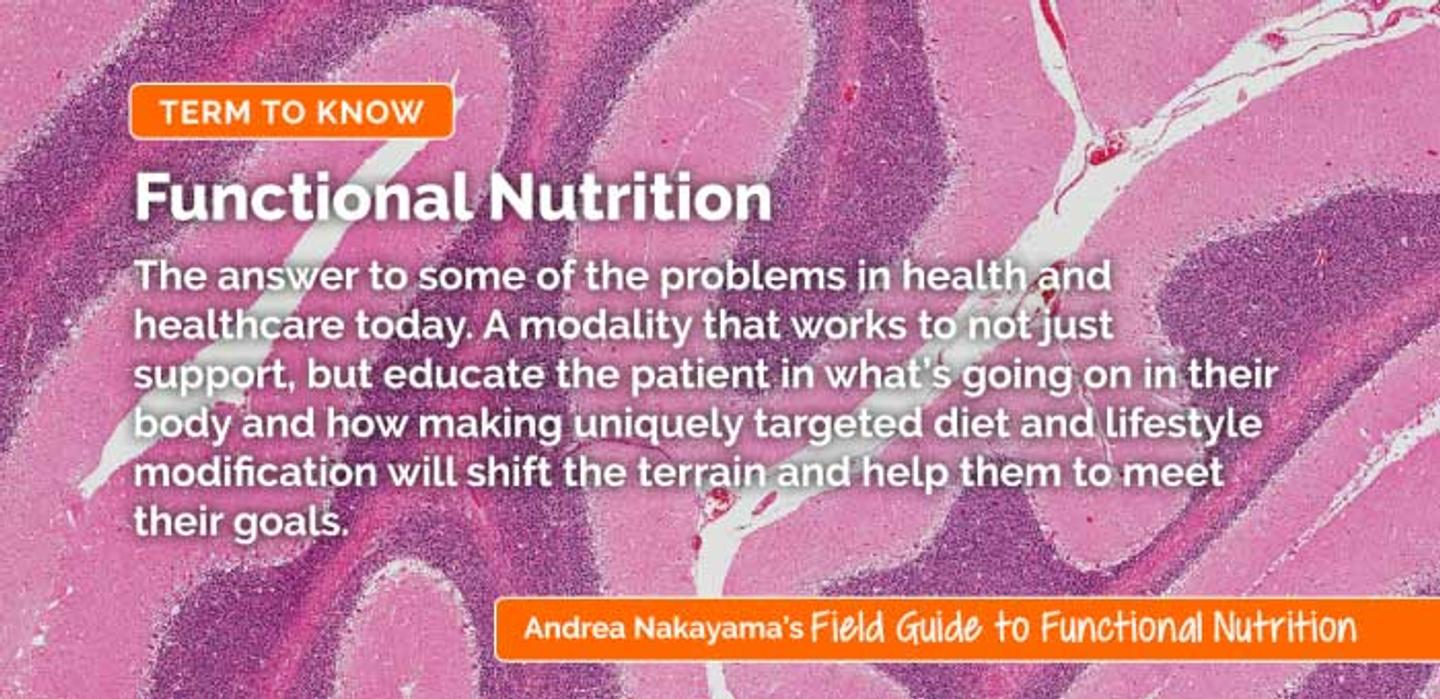 What is Functional Nutrition? Everything You Need to Know - Blog Image