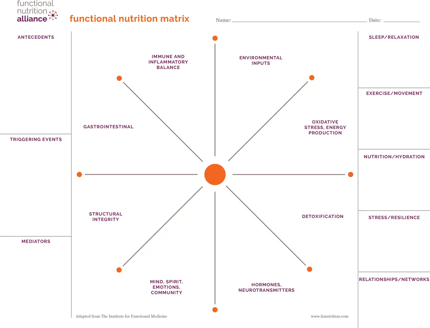 Functional Nutrition Matrix