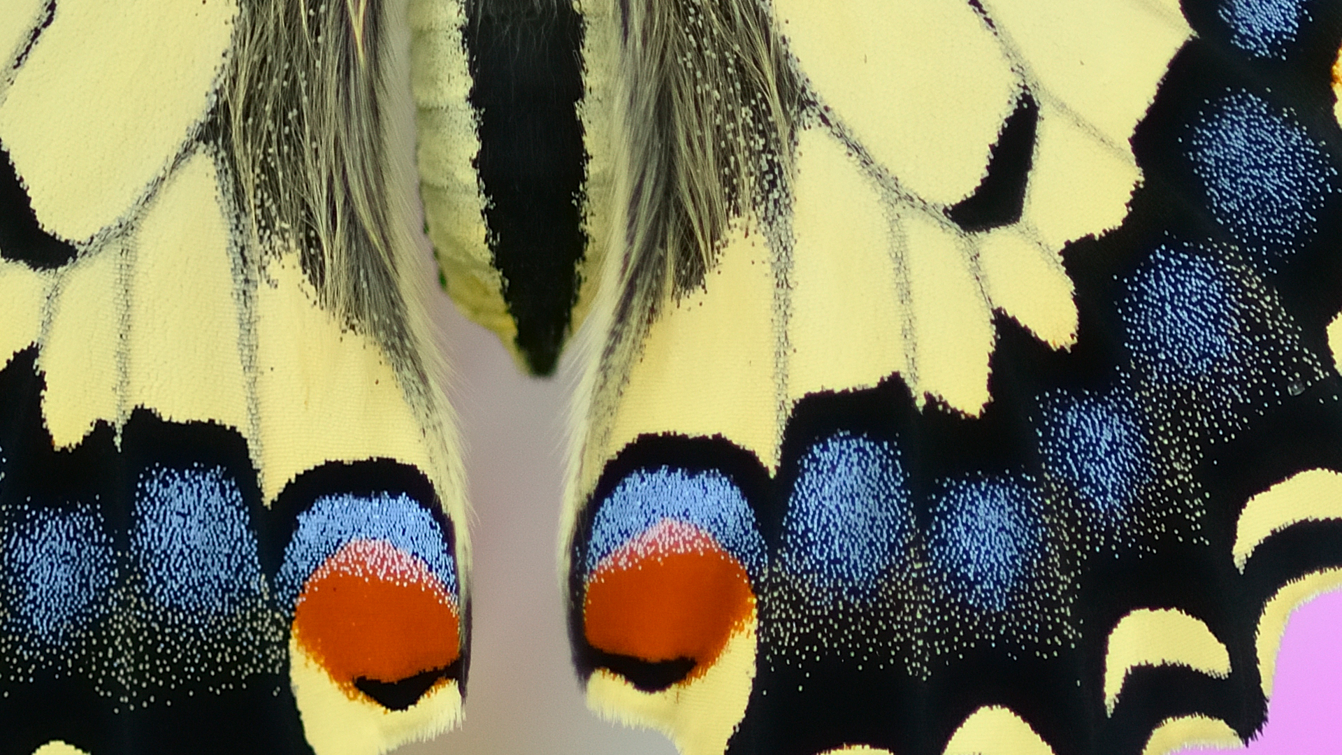 We ve Come A Long Way Baby Functional Nutrition Alliance We ve Come A Long Way Baby Functional Nutrition Alliance