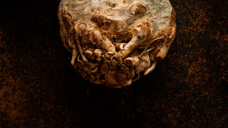 celery root