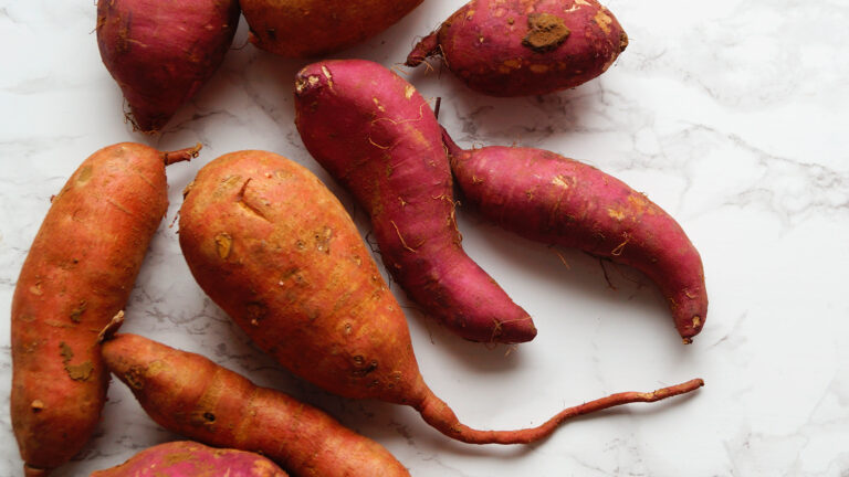 Nutrition, Recipe