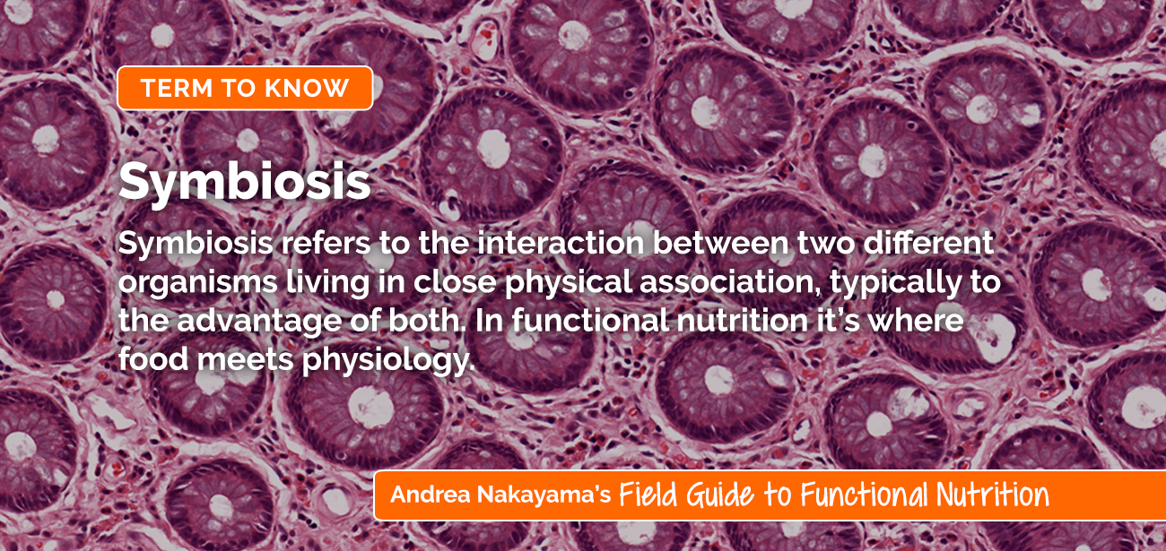 Symbiosis | Andrea Nakayama's Field Guide to Functional Nutrition