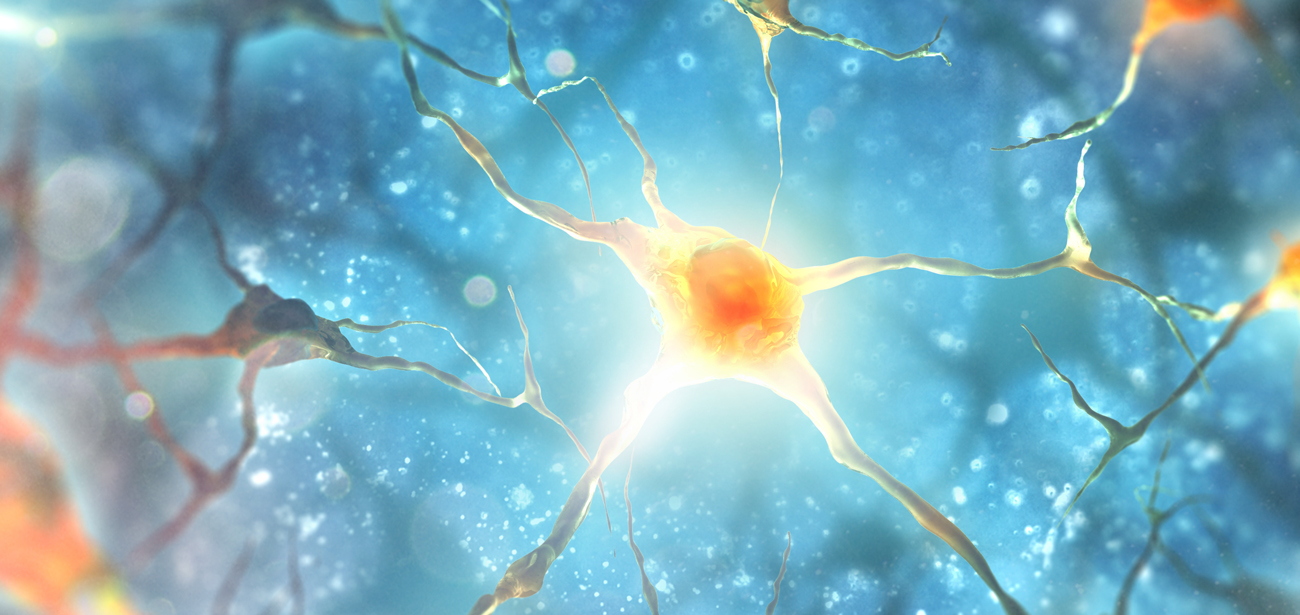 what IS going on in there? by functional medicine nutritionist Andrea Nakayama