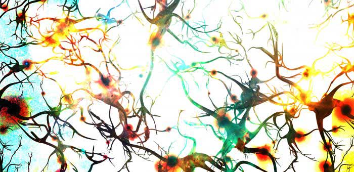 clinical quickie: choline and memory