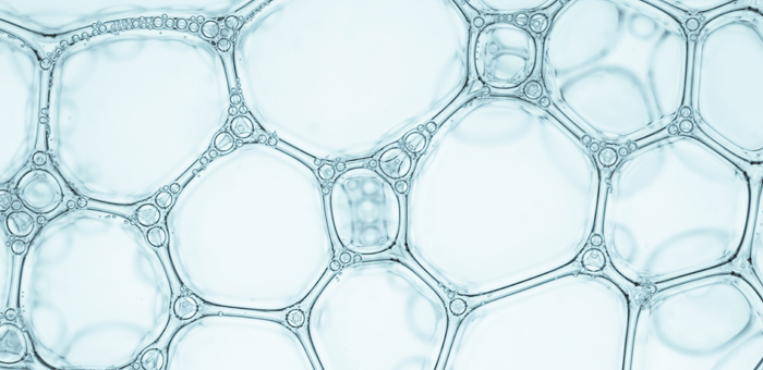 does brushing your teeth really matter? | Functional Nutrition Lab