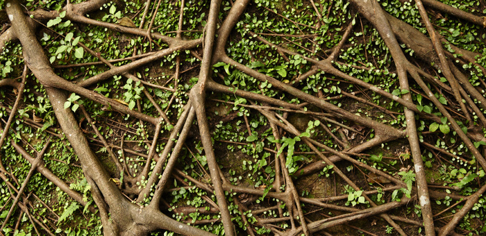 Busting myths about root cause resolution | Functional Nutrition Lab