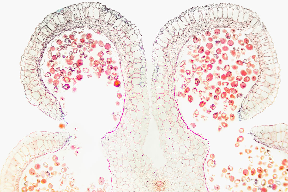 whats-functional-part-3_stock_523190890